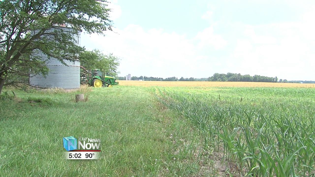 Area farmers hope for good weather here on out for a serviceable yield 2.jpg